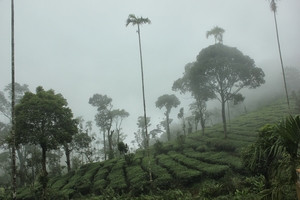Solo Travel – How the bug bit me