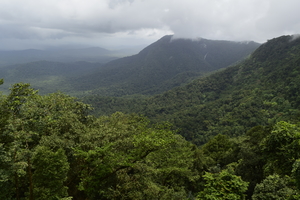 Karnataka: Seeta nadi Nature Camp