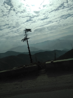 Travel alone and the world will embrace you.@Kinnaur