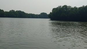 A trip to South India's beautiful destination- Pichavaram, Tamil Nadu