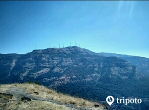 A Beginner Level Trek To Kothaligadh