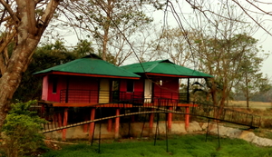All Things Bright and Beautiful: Meghalaya