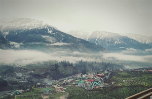 Himachal Diaries - Manali