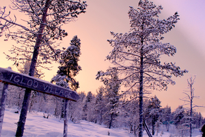 Want to experience Ten Bucket list things in one trip, head to Lapland !