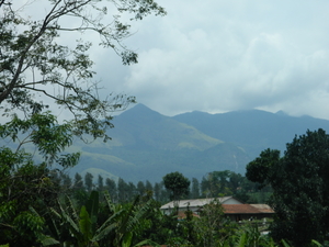 Wayanad & Ooty (India) - Come Fall in Love