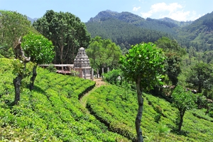 A glance at Sri Lanka