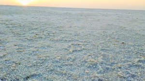 How I ticked off two items on my "BUCKET LIST": Rann Of Kutch And Gir!