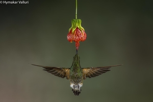 Ecuador - Heaven on Earth