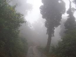 Backpacking through West Bengal