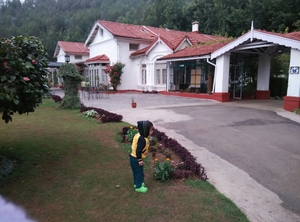 When the Blue Hills of Ooty...