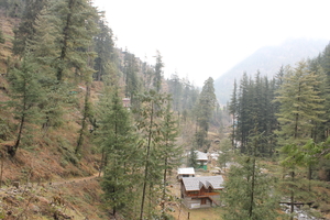 Weekend getaway: Shoja, Himachal Pradesh