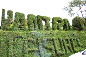Best Way to Enjoy OOTY..Nilgiris