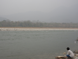 A Trip to Manas National Park
