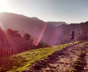 Tirthan Valley: A sneak peek into the trails of Jalori Pass, Serloskar Lake and Gahidhar Falls.