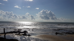 Goa- The Other Side