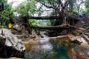 A 7000 stair trek to Nongriat’s Living Root Bridge