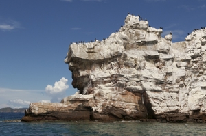 Into The Wild: Short Trip To Venezuela