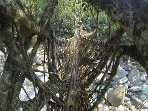 India Uninterrupted: The Unexplored North-East