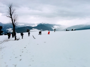 Kedarkantha Trek