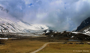 Road to Paradise: Exploring North Sikkim-Yumthang Valley & Zero Point
