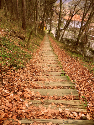 Romanian City Getaways: Segesvár