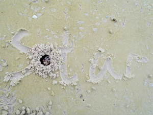 16 Simple Signs You’re In The Home Of A Traveler