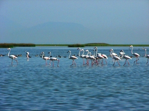Odisha, Paradise for Tourist