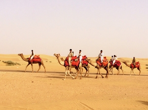 To the golden city, Jaisalmer
