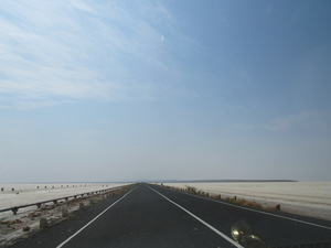Welcome to the Harappan metropolis
