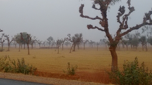 Royal Jaisalmer