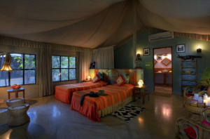 Jungle Airbnbs Inside India’s National Parks Where The Adventure Is Right At Your Doorstep