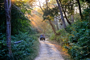 Sign This Petition To Stop The Construction Of A Highway Through Jim Corbett National Park