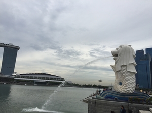 Singapore-Family trip for 5 days