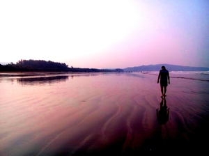 Dazzling Diveagar