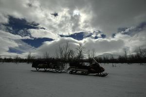 My Dream to the Arctic Comes True!