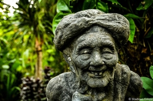 At a Balinese coffee estate