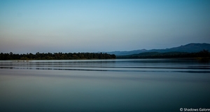 Satpura: The River Safari On Denwa