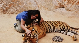 The Tiger Temple at Kanchanaburi
