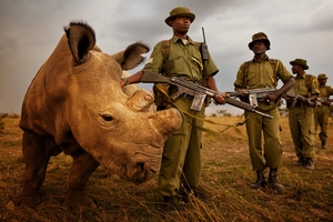 Ol Pejeta: Wildlife for Food