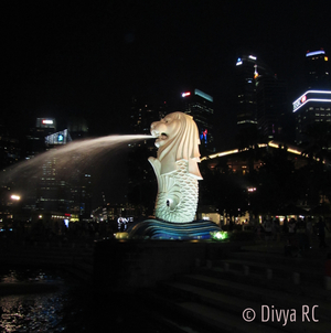 Top Things to do when you are in Singapore