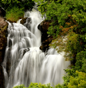 Top 5 Picnic Spots around Bangalore