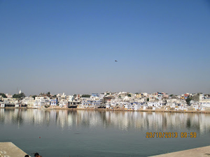 Camel ride in Pushkar