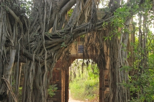 Tracking the Pugmarks of the Wild Wild Tiger - Ranthambore Tiger Reserve