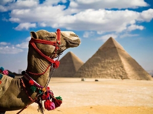 Cairo & Alexandria stopover