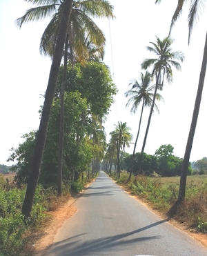 Beyond parties in Goa, a relaxing vacation