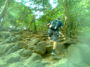 One day Trip to Karnala Bird Sanctuary