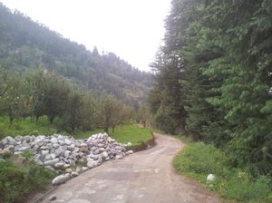 A week in Spiti (Himachal Pradesh)