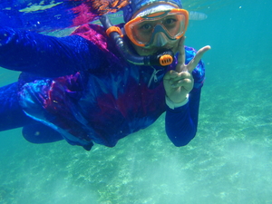 Under the sea: Snorkeling with jelly fish in Lombo