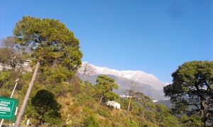 The Little Lhasa- of the monks and cafes (Mcleodganj)