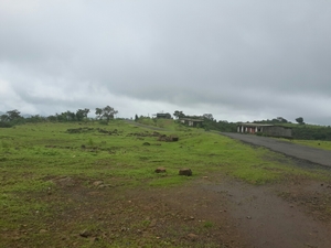Untouched beauty of Madhe Ghat